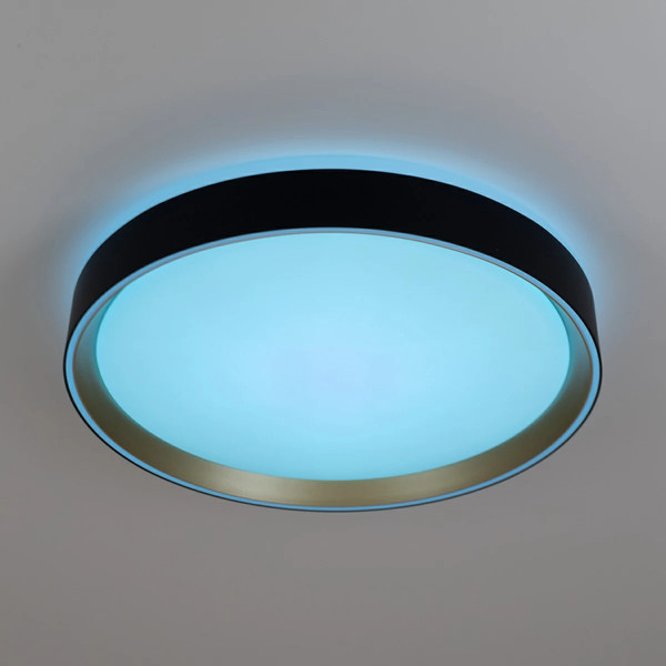 Изображение товара Потолочный светильник Citilux Boss CL751351G