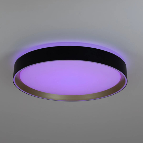 Изображение товара Потолочный светильник Citilux Boss CL751351G