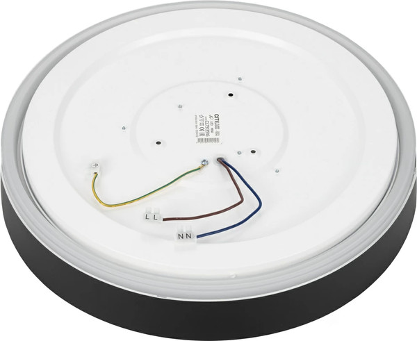 Изображение товара Потолочный светильник Citilux Boss CL751351G