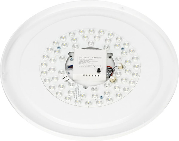 Изображение товара Потолочный светильник Citilux Boss CL751351G