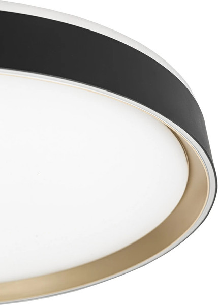 Изображение товара Потолочный светильник Citilux Boss CL751451G