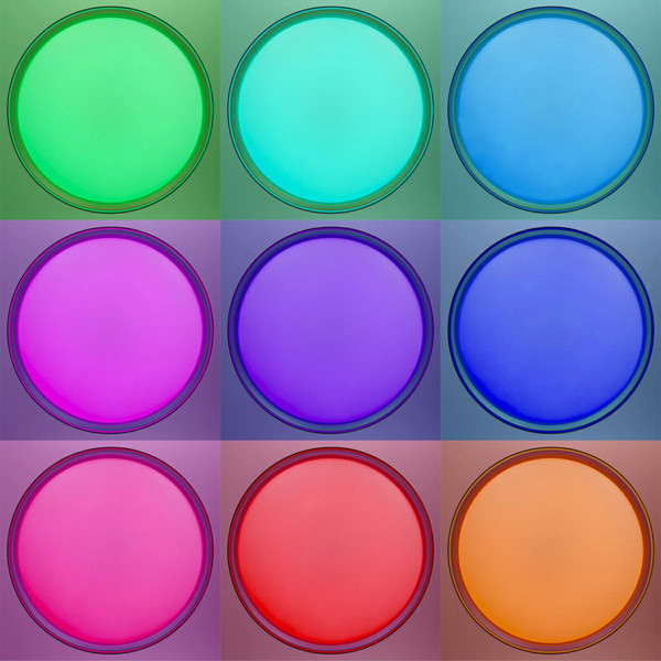 Изображение товара Потолочный светильник Citilux Boss CL751451G