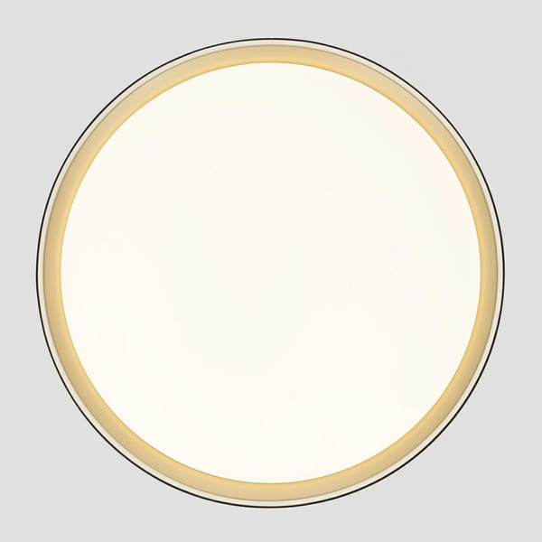 Изображение товара Потолочный светильник Citilux Boss CL751451G