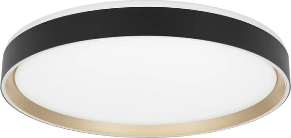 Изображение товара Потолочный светильник Citilux Boss CL751451G