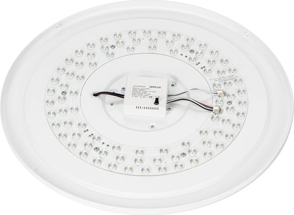 Изображение товара Потолочный светильник Citilux Boss CL751451G