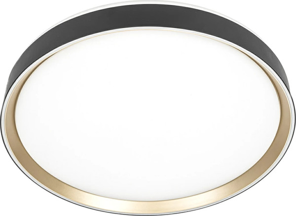 Изображение товара Потолочный светильник Citilux Boss CL751451G