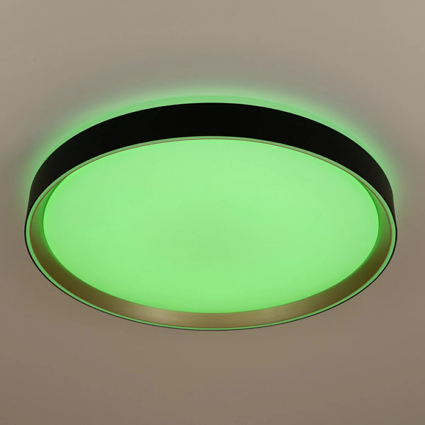 Изображение товара Потолочный светильник Citilux Boss CL751451G