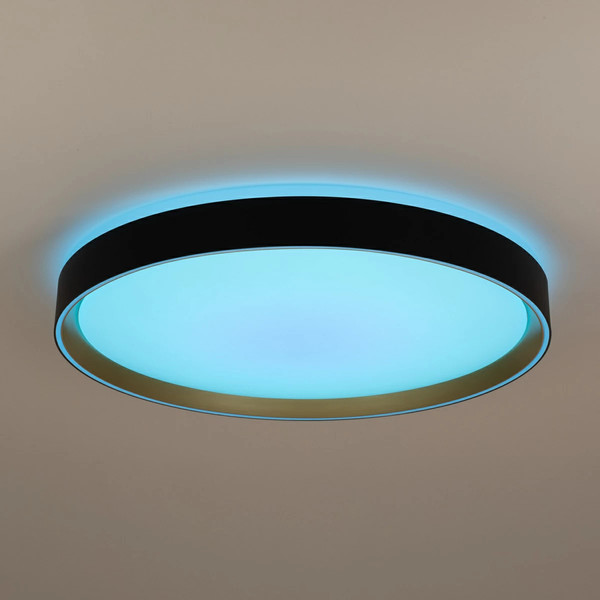 Изображение товара Потолочный светильник Citilux Boss CL751451G