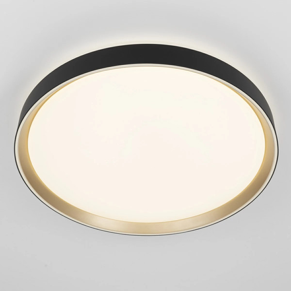 Изображение товара Потолочный светильник Citilux Boss CL751451G