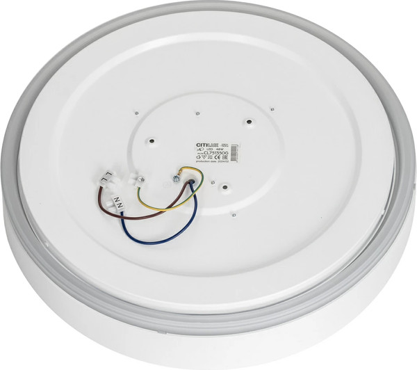 Изображение товара Потолочный светильник Citilux Boss CL751350G