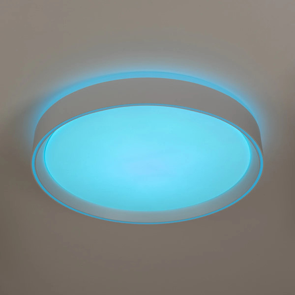 Изображение товара Потолочный светильник Citilux Boss CL751350G