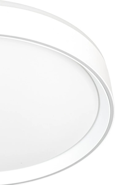 Изображение товара Потолочный светильник Citilux Boss CL751350G