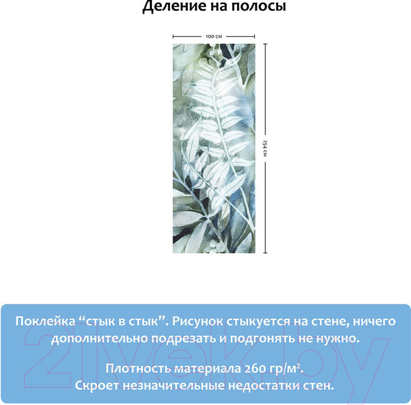 Изображение товара Фотообои листовые Citydecor Пальма (100x254)