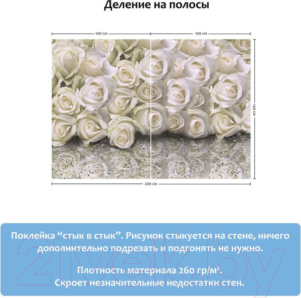 Изображение товара Фотообои листовые Citydecor Розы с каплями росы (200x140)