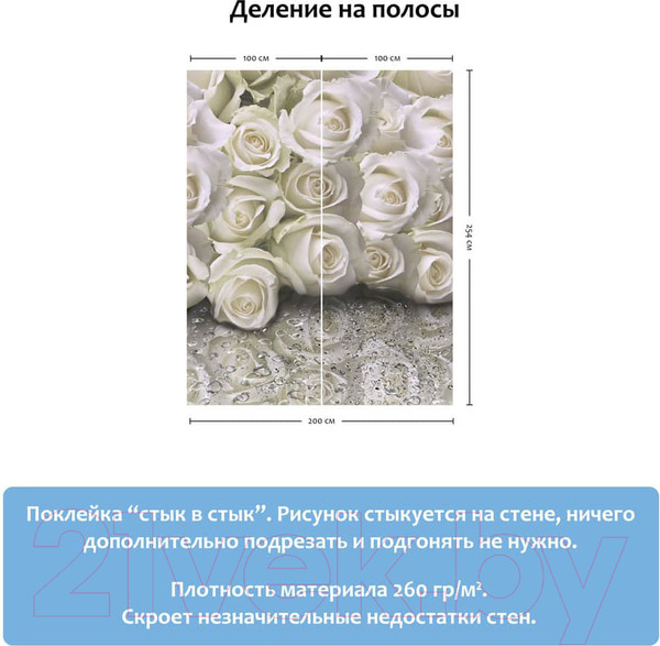 Изображение товара Фотообои листовые Citydecor Розы с каплями росы (200x254)