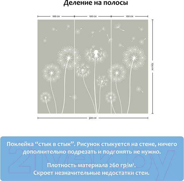 Изображение товара Фотообои листовые Citydecor Одуванчик (300x254)