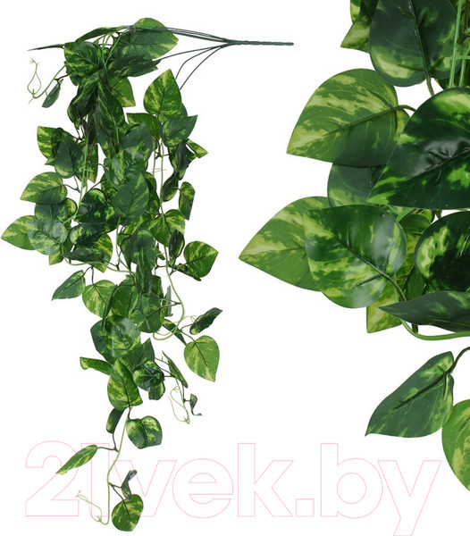 Изображение товара Искусственная ветка ForGarden Потос пестролистный BN10829