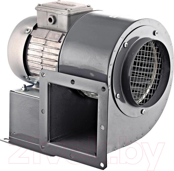 Изображение товара Вентилятор радиальный ERA Pro Buran 200 2K M L