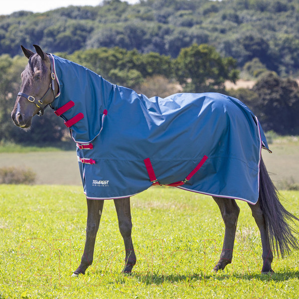 Изображение товара Попона для лошади Shires Tempest Original Lite / 9330C/TEAL/84 (с капором, чирок)