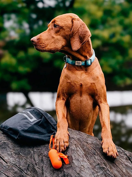 Изображение товара Пакеты для выгула собак Explorer Dog TED0014 (15шт)