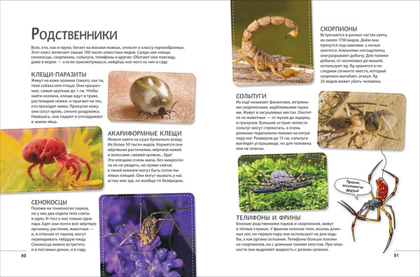 Изображение товара Энциклопедия Росмэн Иллюстрированная. Невероятные насекомые твердая обложка