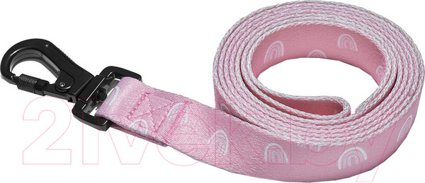 Изображение товара Поводок Explorer Dog Радуга / TED104 (L)
