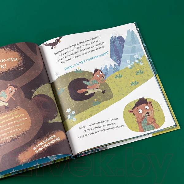 Изображение товара Книга Альпина Когда я боюсь / 9785961490923 (Несхефер Н.)