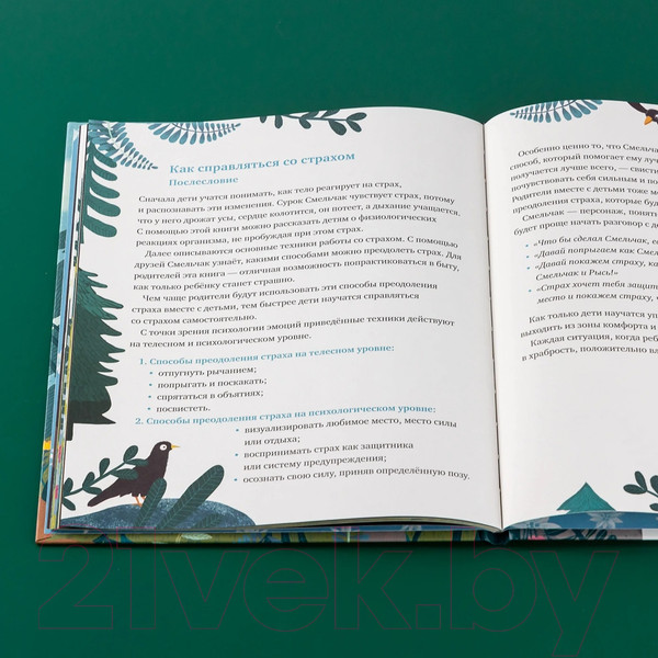 Изображение товара Книга Альпина Когда я боюсь / 9785961490923 (Несхефер Н.)