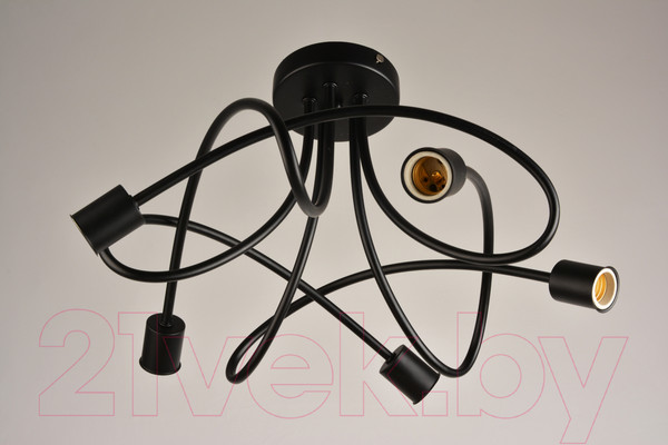 Изображение товара Потолочный светильник Mirastyle BL-0913/5B BK