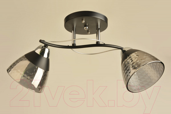 Изображение товара Потолочный светильник Mirastyle BL-8199/2 BK+CR