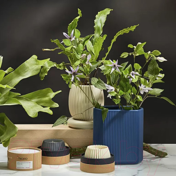 Изображение товара Свеча Tkano Edge Lemon, Mandarin & Neroli TK23-ARO0027 (серый)