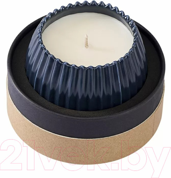 Изображение товара Свеча Tkano Edge Musk, Rose & Cedarwood TK23-ARO0008 (синий)