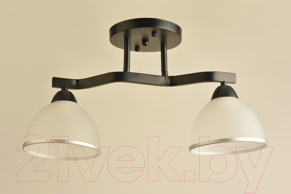 Изображение товара Потолочный светильник Mirastyle BL-8205/2 BK