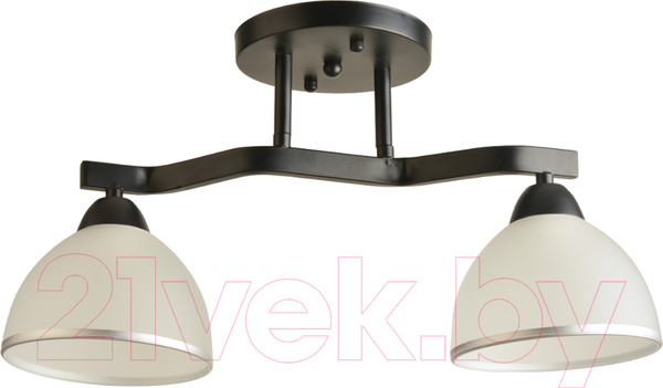 Изображение товара Потолочный светильник Mirastyle BL-8205/2 BK