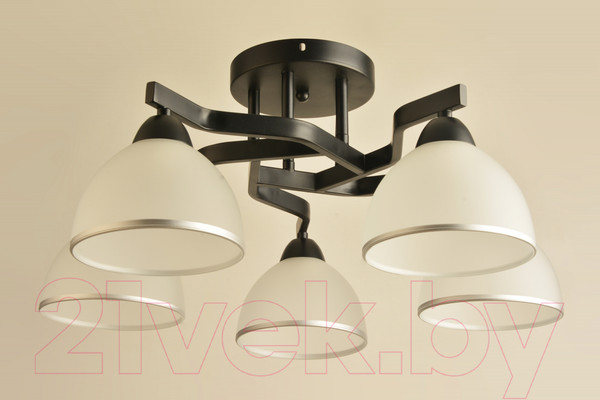 Изображение товара Потолочный светильник Mirastyle BL-8205/5 BK