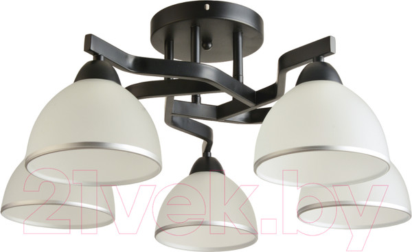 Изображение товара Потолочный светильник Mirastyle BL-8205/5 BK