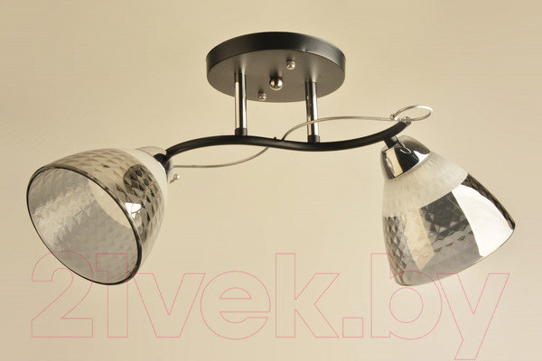 Изображение товара Потолочный светильник Mirastyle BL-8224/2 BK+CR