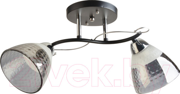 Изображение товара Потолочный светильник Mirastyle BL-8224/2 BK+CR