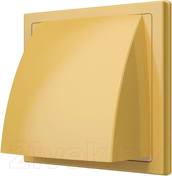 Изображение товара Решетка вентиляционная ERA 1919К15.16ФВ с выходом (бежевый)