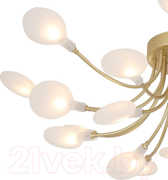 Изображение товара Люстра F-Promo 4197-20C