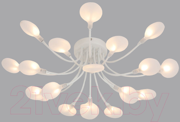 Изображение товара Люстра F-Promo 4198-20C