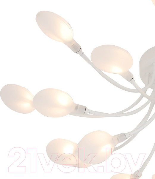 Изображение товара Люстра F-Promo 4198-20C