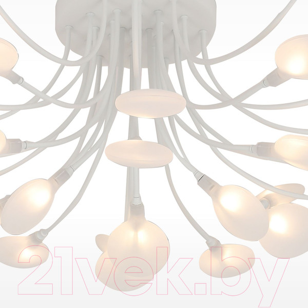 Изображение товара Люстра F-Promo 4198-28C