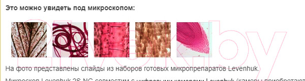 Изображение товара Микроскоп оптический Levenhuk 2S NG / 25648