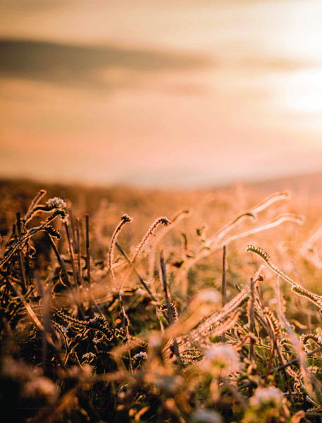 Изображение товара Постер-бук АСТ Потомки солнца. Фотобук / 9785171474751