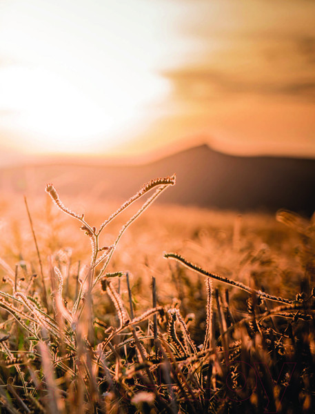 Изображение товара Постер-бук АСТ Потомки солнца. Фотобук / 9785171474751