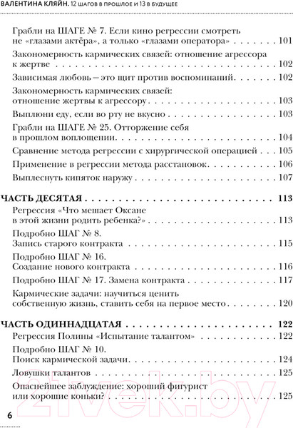 Изображение товара Книга АСТ 12 шагов в прошлое и 13 в будущее / 9785171573799 (Кляйн В.В.)