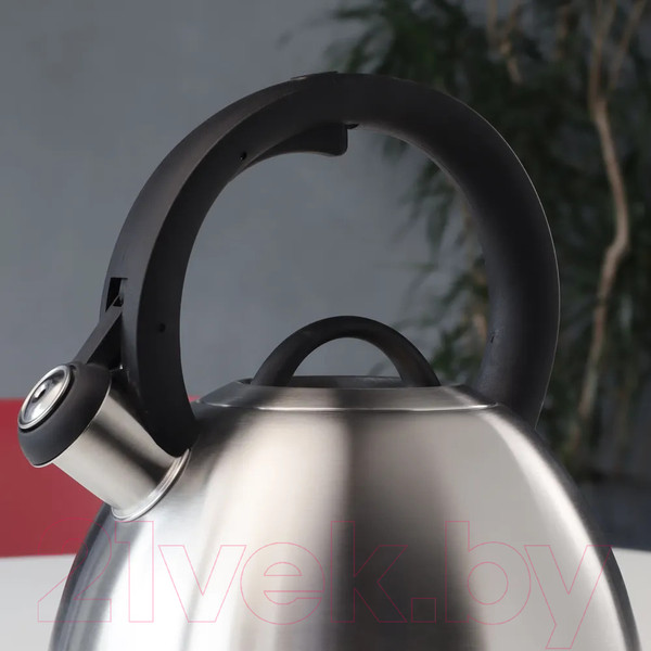 Изображение товара Чайник со свистком Eley RWK235CH