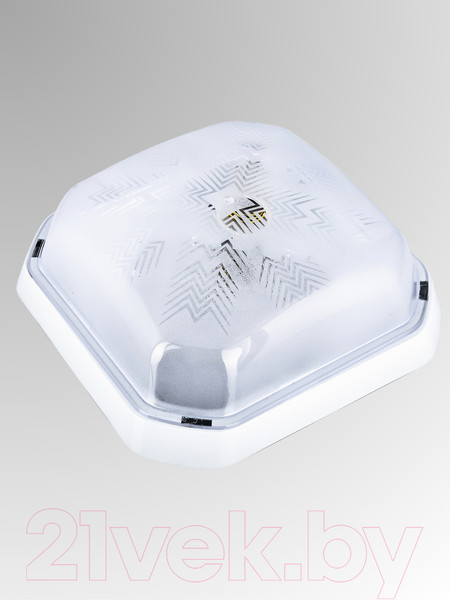 Изображение товара Светильник ЖКХ Aitin-Pro BR-00242-010