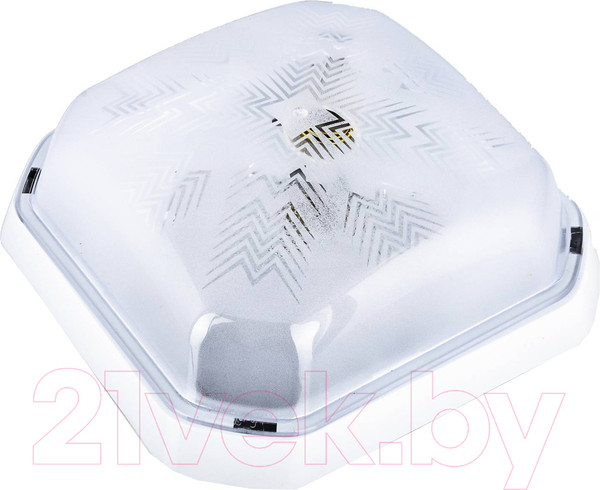 Изображение товара Светильник ЖКХ Aitin-Pro BR-00242-010